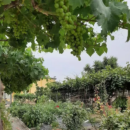 Casa Virginia 1 *